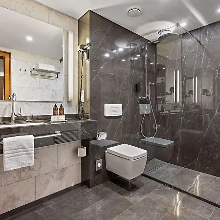Parkhotel Engelsburg فندق 4*