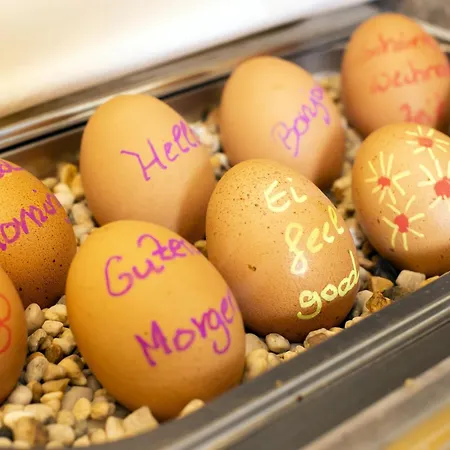 Parkhotel Engelsburg - 4 Sterne Superior Hotel 4*